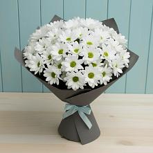 Букет цветов из:  Хризантемы #REPLACE_PRED# Килемары