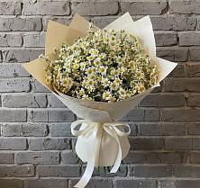 Букет цветов из:  Ромашки в Килемары