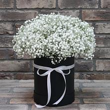 Цветочная композиция из Гипсофила в шляпной коробке в Килемары