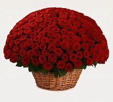 Премиум букет из: Розы #REPLACE_PRED# Килемары