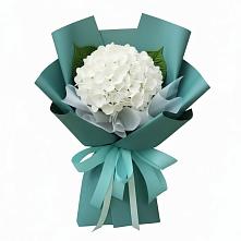 Букет цветов из:  Гортензия #REPLACE_PRED# Килемары